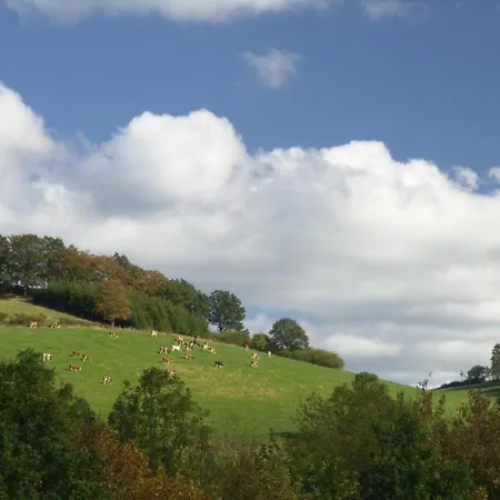 Sauerland Group Hideaway, Cleaning Included Appartement *