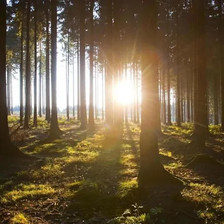 Διαμέρισμα Sauerland Group Hideaway, Cleaning Included