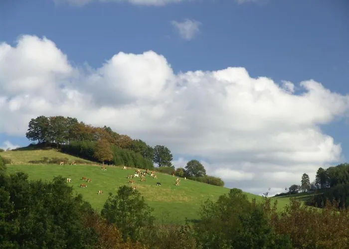 Sauerland Group Hideaway, Cleaning Included Apartamento *