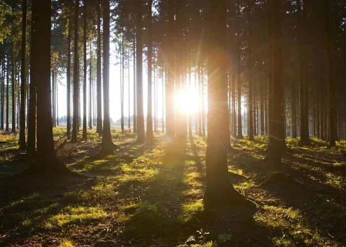 Apartamento Sauerland Group Hideaway, Cleaning Included